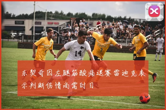 东契奇因左腿筋酸痛退赛雷迪克表示判断伤情尚需时日